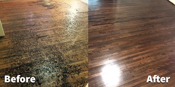 https://www.manta.com/c/mx611g6/apc-hardwood-floors