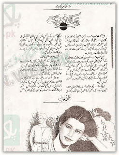 Deemak zada mohabbat by Saima Akram (Complete) Online Reading