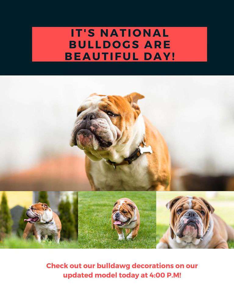 National Bulldogs Are Beautiful Day Wishes Pics