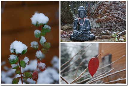 winter4a