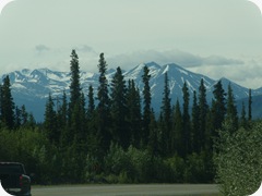 DSCN0001