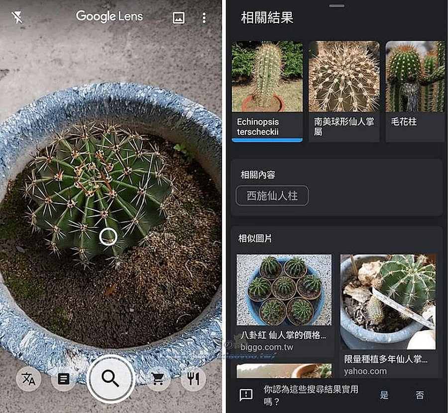 Google Lens 透過鏡頭準確辨識各種內容