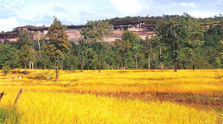 The scenery of Pha Taem