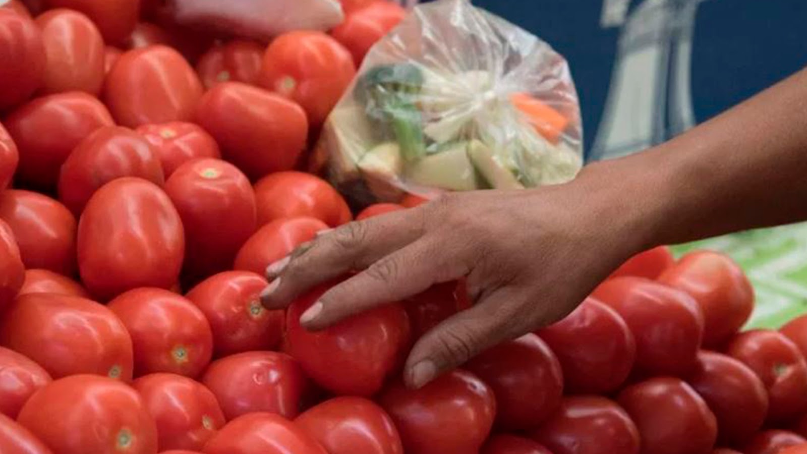 Se dispara precio de jitomate, tomate y pechuga de pollo por heladas