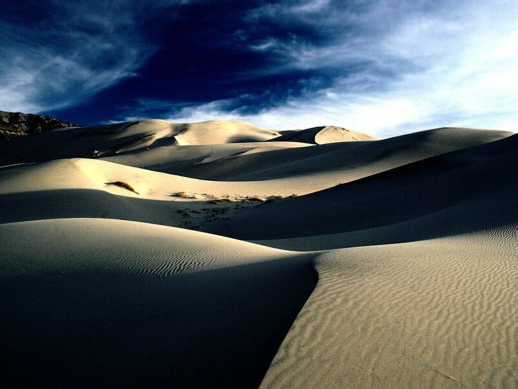 Resultado de imagen para la nube de dios en el desierto