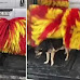 Stray Dogs Love Brushing Themselves At This Automatic Car Wash Station