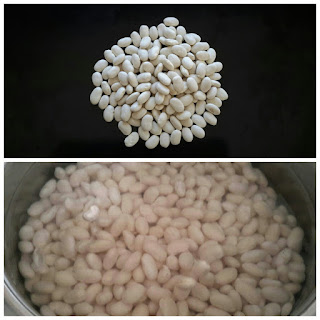 What kind of beans are white beans?