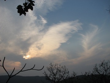 IMG_0038 IMG_0038