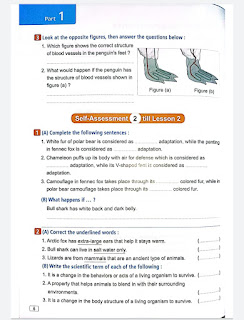 كتاب المعاصر الجزء الخاص باختبارات الساينس الصف الرابع الابتدائى الترم الأول 2023 science assessment book