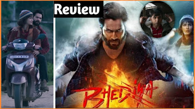 Bhediya Movie Story Explain,Review:Budget,Cast,Relese Date