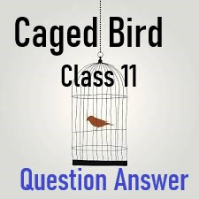 caged-bird-class-11-notes