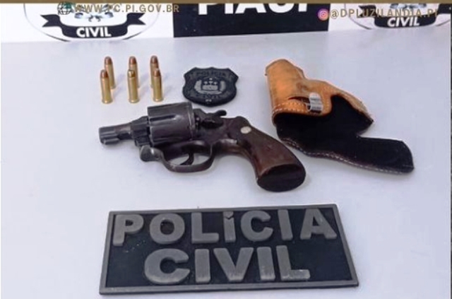 Polícia Civil apreende arma, munições e prende homem na cidade de Luzilândia