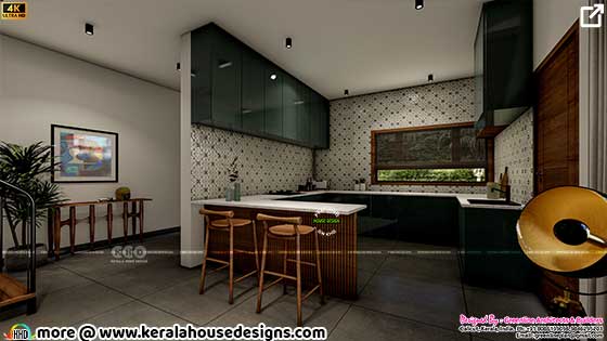 Kitchen interior green theme