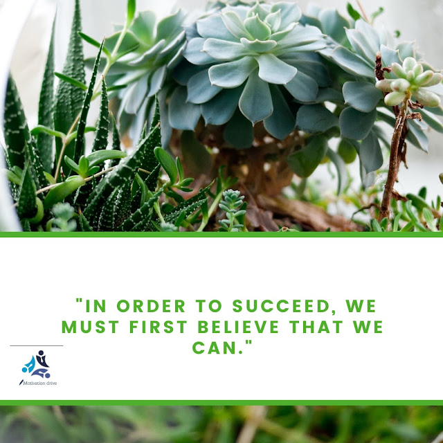 "In order to succeed, we must first believe that we can." Nikos Kazantzakis.