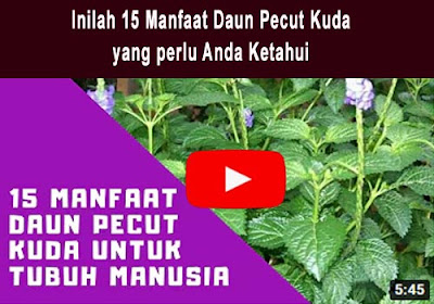 https://keranjangkesehatan.gankoko.com/2021/09/pengobatan-dan-mencegah-secara-herbal.html