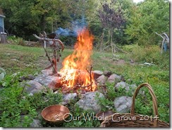 sacred fire sacrifice