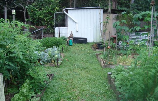 Setting up your garden as a safe haven