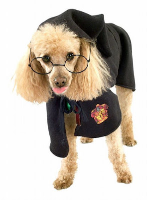 Harry Potter Seen On www.coolpicturegallery.us