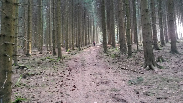 Sauerland wandern Wetter blog Schluchtgebirge Bestwig 