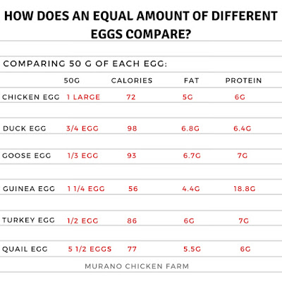 Comparing duck eggs to chicken eggs.
