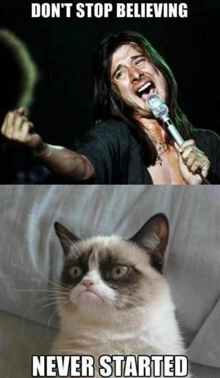 Grumpy cat part 2  Funny Grumpy cat memes