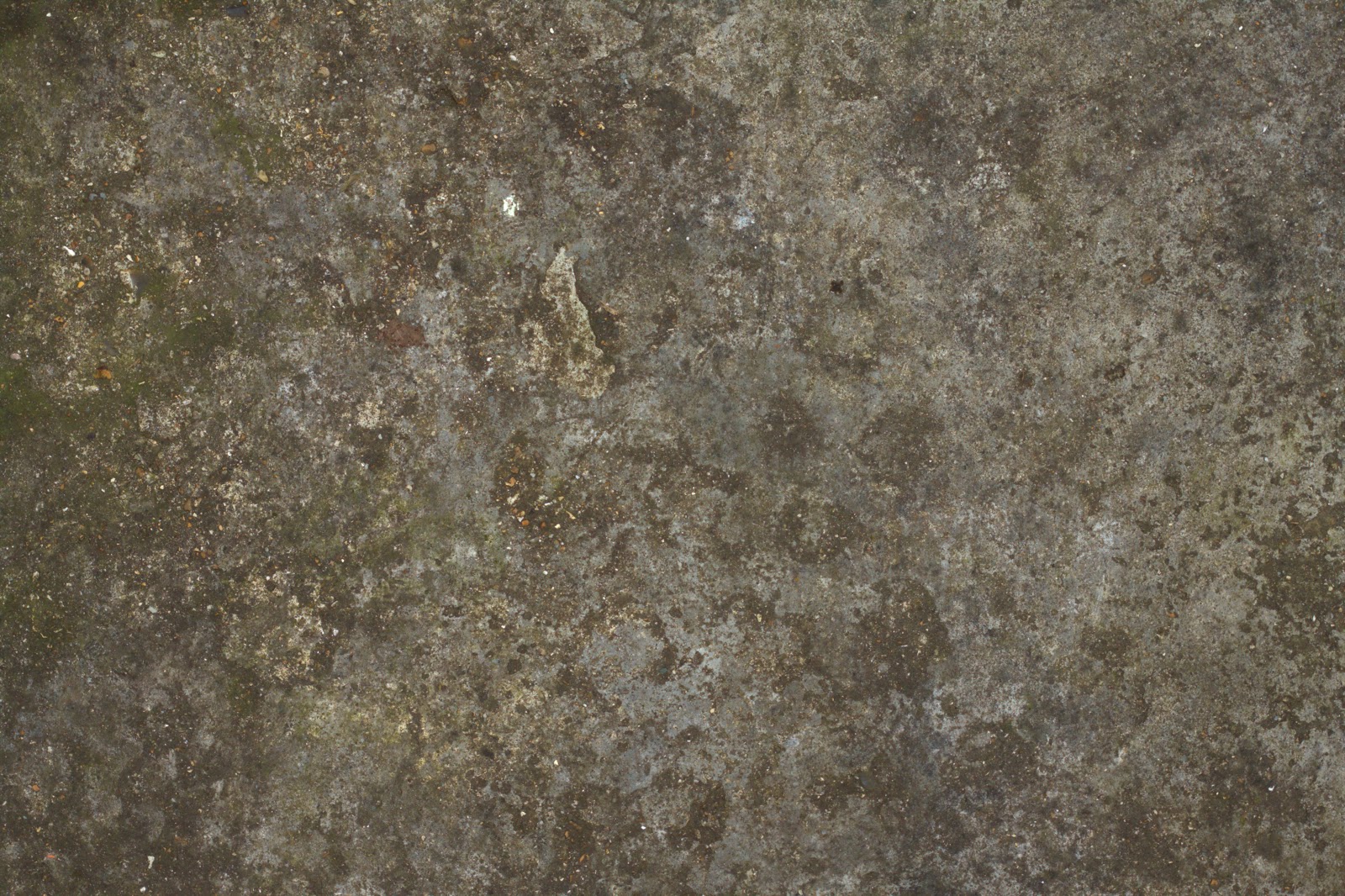 Concrete floor dirty moss texture 4770x3178