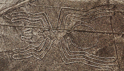 The Sipder figure of Nazca Lines 