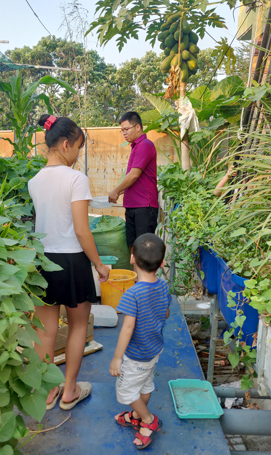 Sân thượng có đủ ” vườn rau, ao cá” của bố đảm Đồng Nai, suốt 3 năm không phải đi chợ mua rau