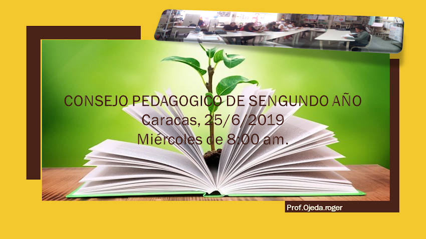 CONSEJO PEDAGOGICO DE  SEGUNDO  AÑO 25-6-2019