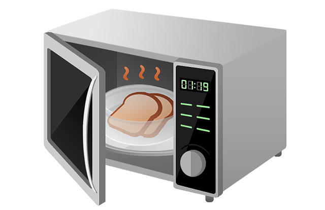 Jenis Microwave