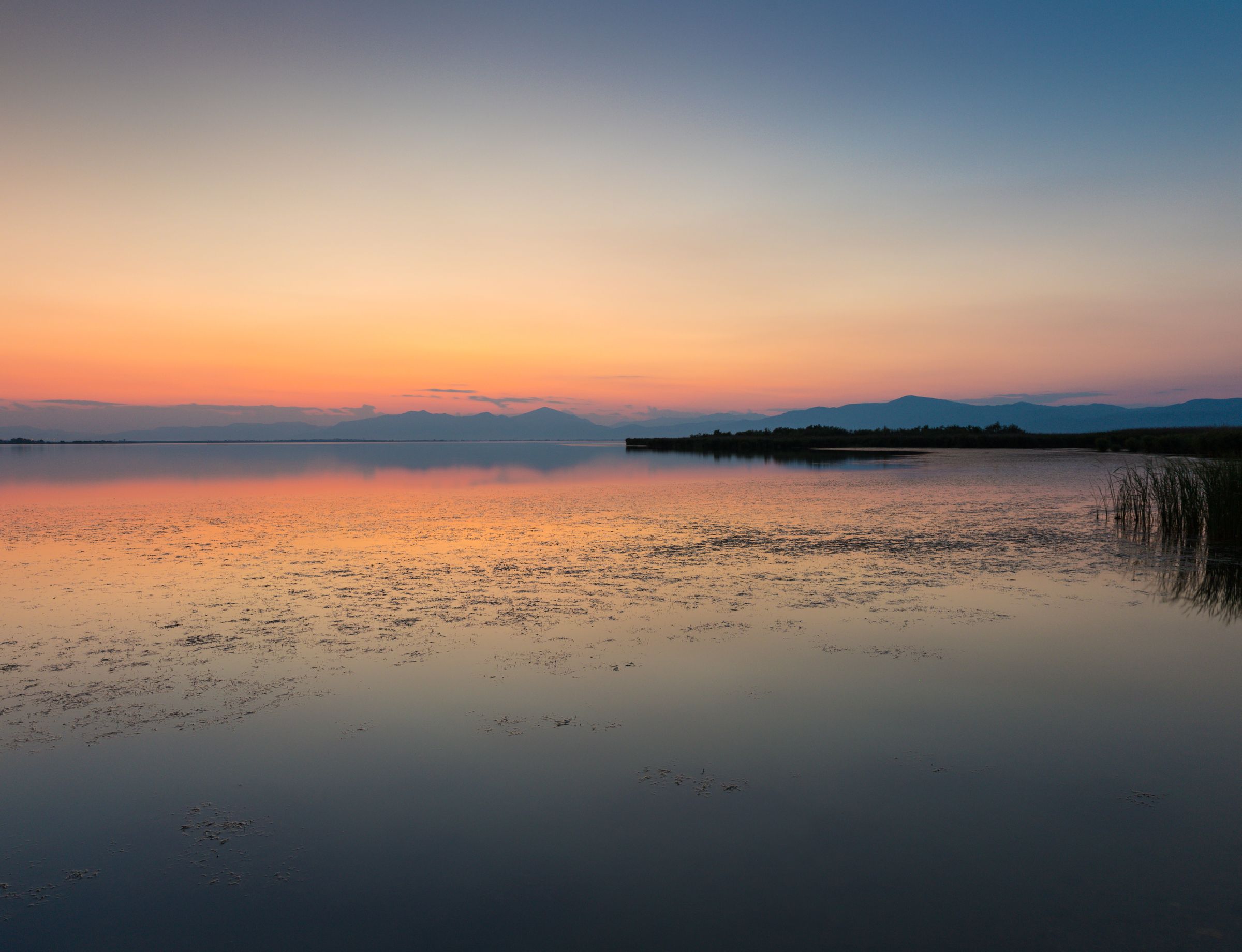 Λίμνη Βιστωνίδα: Ο «Παράδεισος» της Ξάνθης με τα φλαμίνγκο