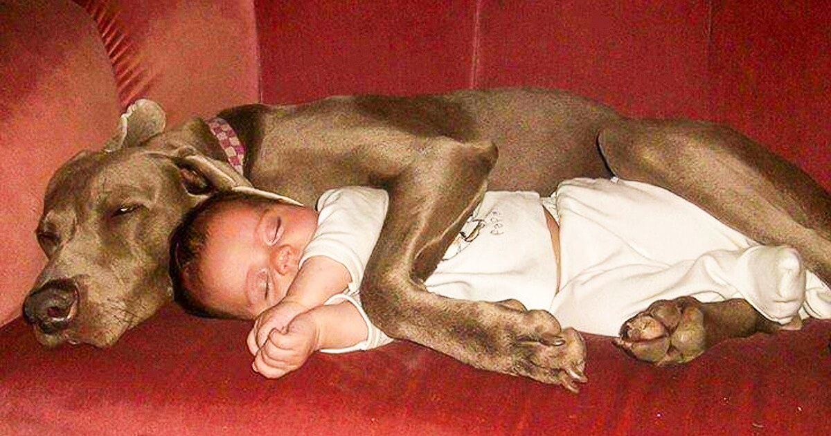 23 Adorable Pictures Prove Why Every Kid Should Have A Pet