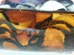 2013-09-19 19.01.06