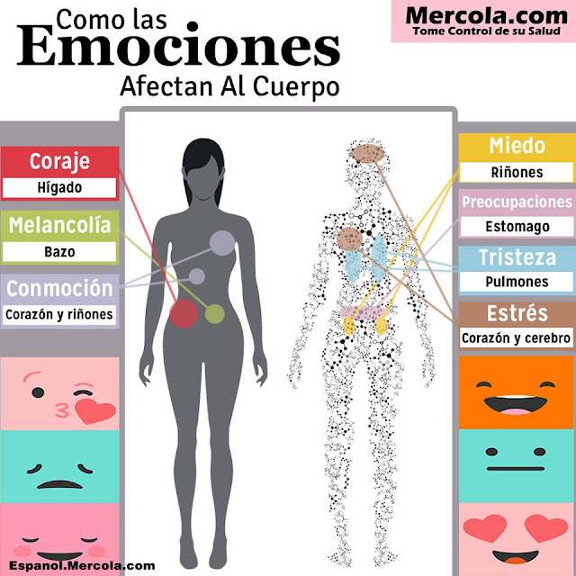 EMOSIONES & ORGANISMO