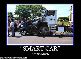 Cat Funny Picture