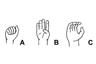 ASL, whole brain teaching, WBT