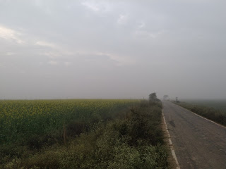 Images of Village: आज भी गाँव में ही हरियाली और खुशहाली है