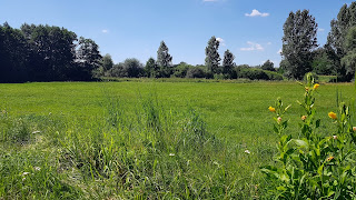 Działki budowlane Poddębice