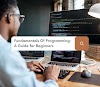 Fundamentals Of Programming: A Guide for Beginners