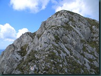 DSCN4985