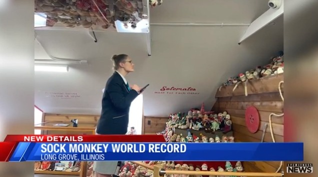 Museu quebra recorde mundial com exibição de mais de 2 mil macacos 