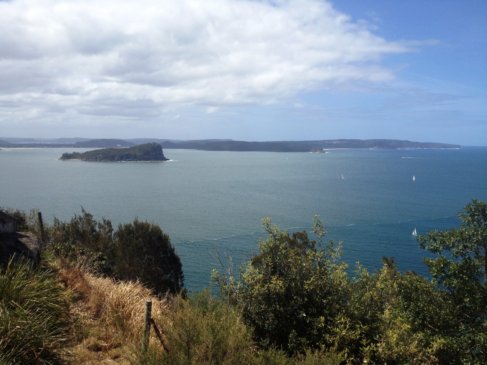 Sydney Daily Photo Lion Island From West Head Lookout