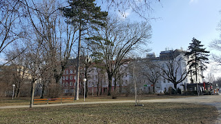 Walking through the park in Vienna