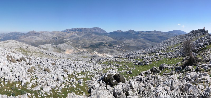 Jarastepar - Cancho de Almola