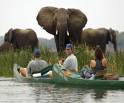 Mana Pools