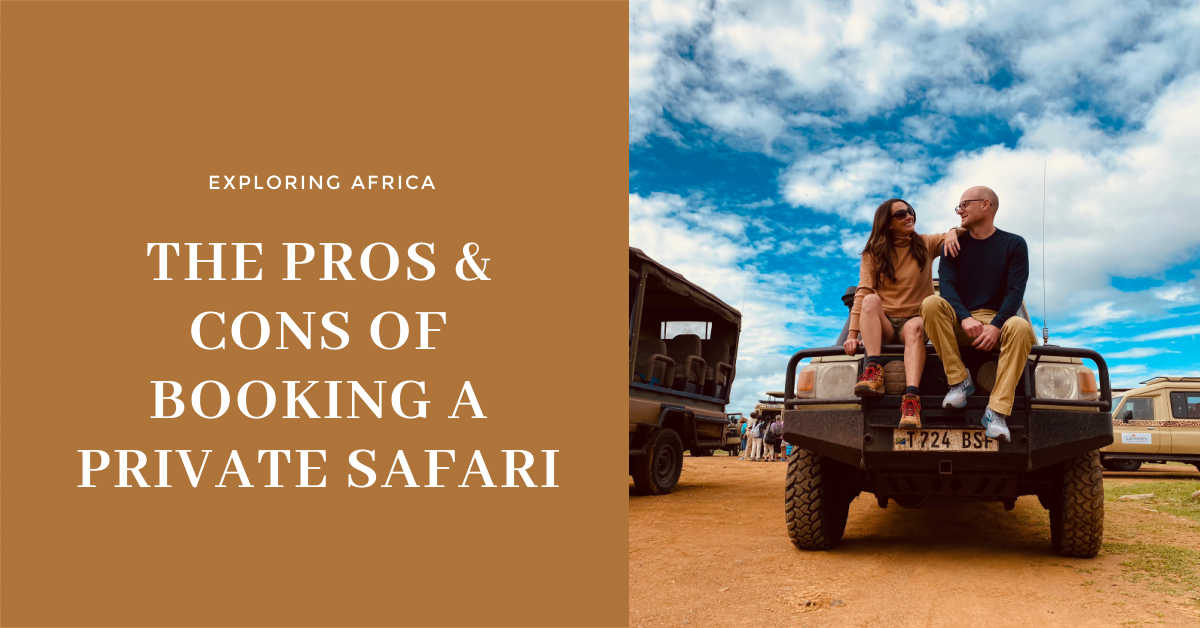 PROS AND CONS OF BOOKING PRIVATE SAFARI