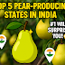 🍐 India’s Juiciest Secret: These States Are Dominating Pear Production – You’ll Be Surprised Who’s at #5!