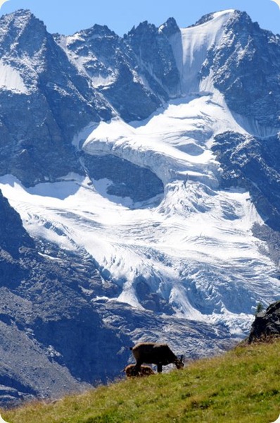 valle d'aosta montagna pascoli