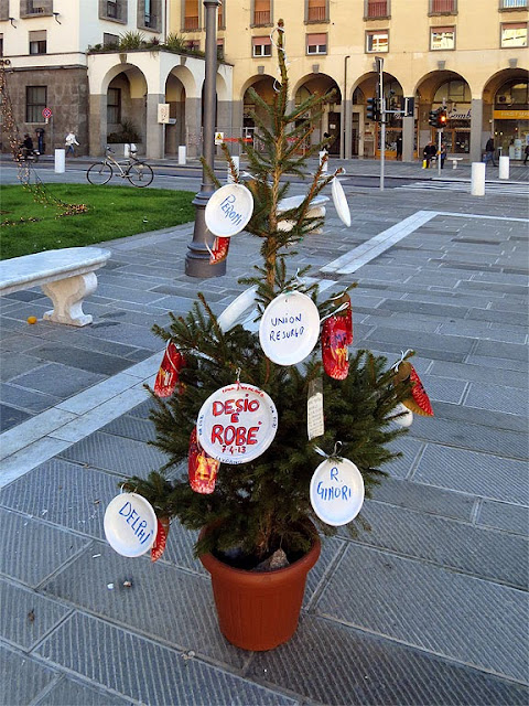 Albero di Natale, piazza Grande, Livorno