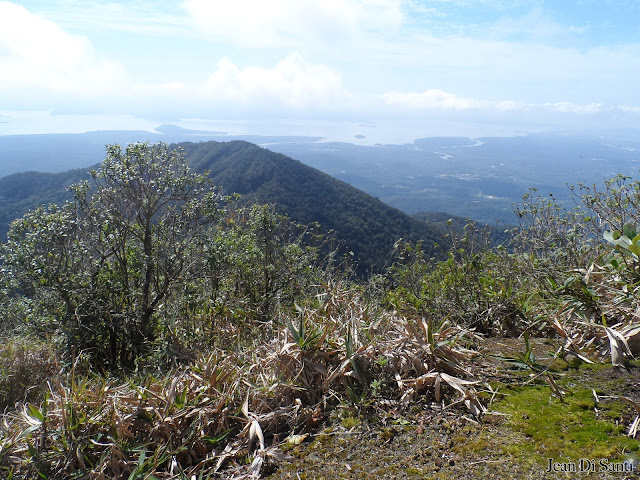 No cume do Morro Bico Torto - Paranaguá, PR